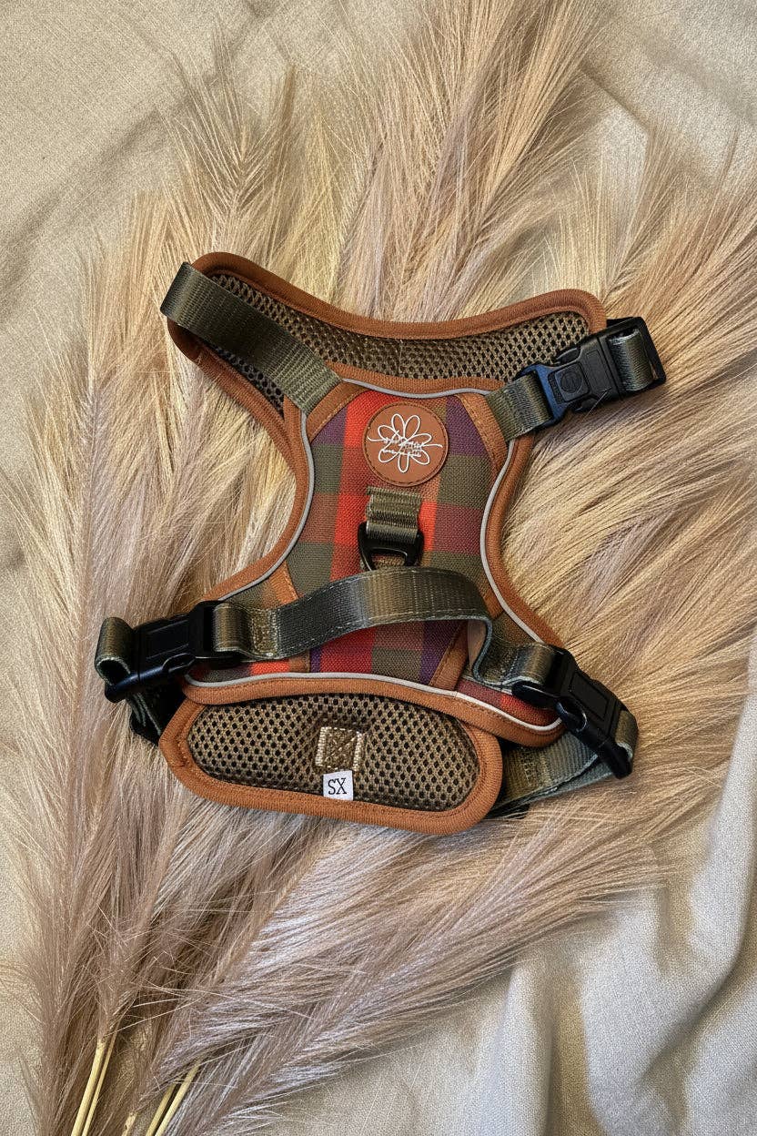 Oh, paw-lease! - Burnham Weave - Core Memory 3 Click Harness