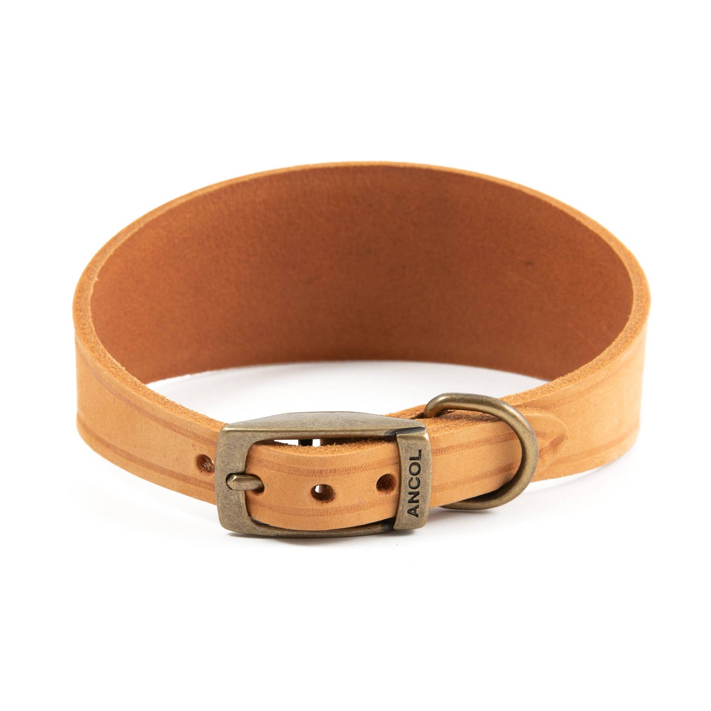 Ancol Pet Products Ltd - Timberwolf Hound Collar ( Size 34-43cm)