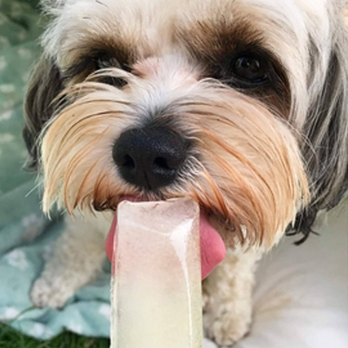 WOOF&BREW LTD - Woof&Brew Paw Pops Freeze Pops for Dogs - Original Flavour