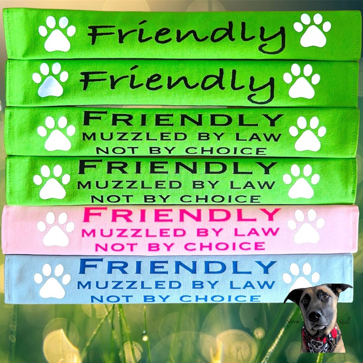 Storms Style - Lead Slips - Reactive, Nervous, Blind, Deaf, Friendly
