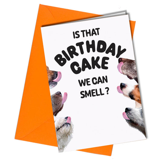 Dog Smell Funny Birthday Card/Birthday Cake