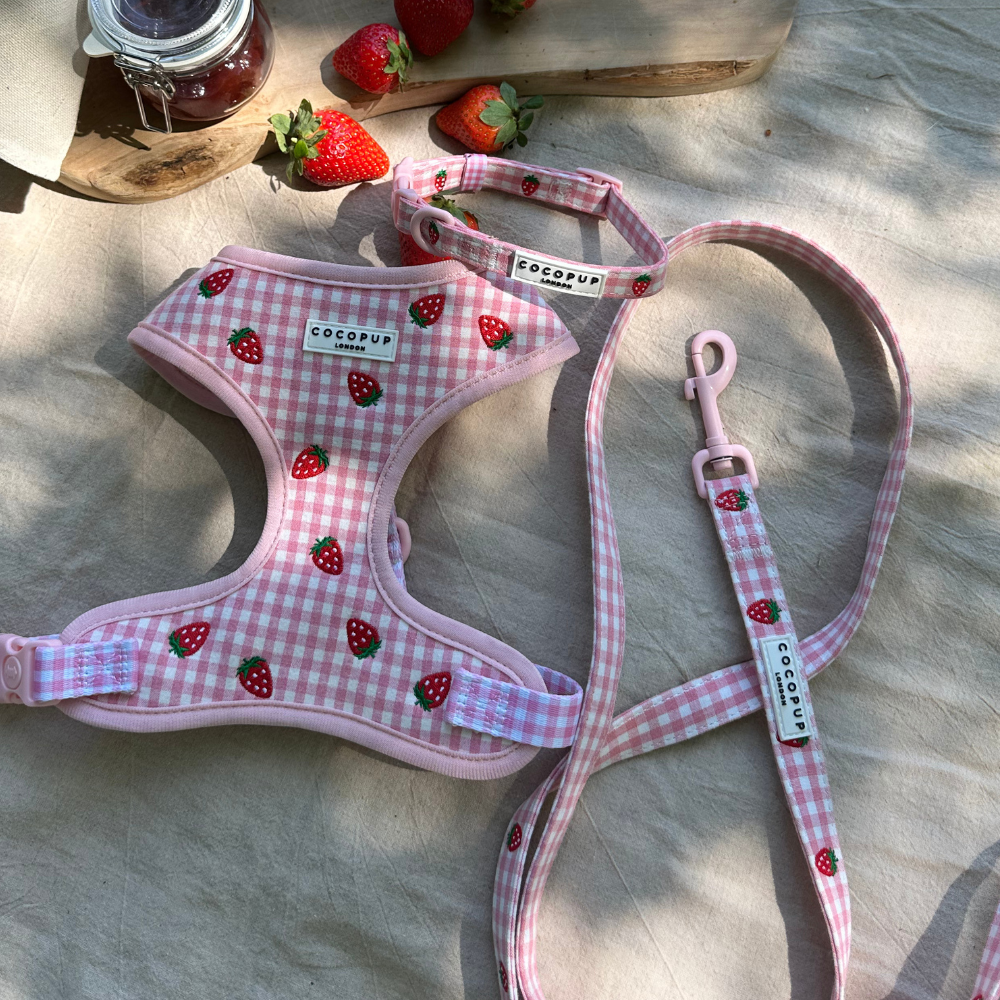Cocopup London - Strawberry Picnic Pup COLLAR