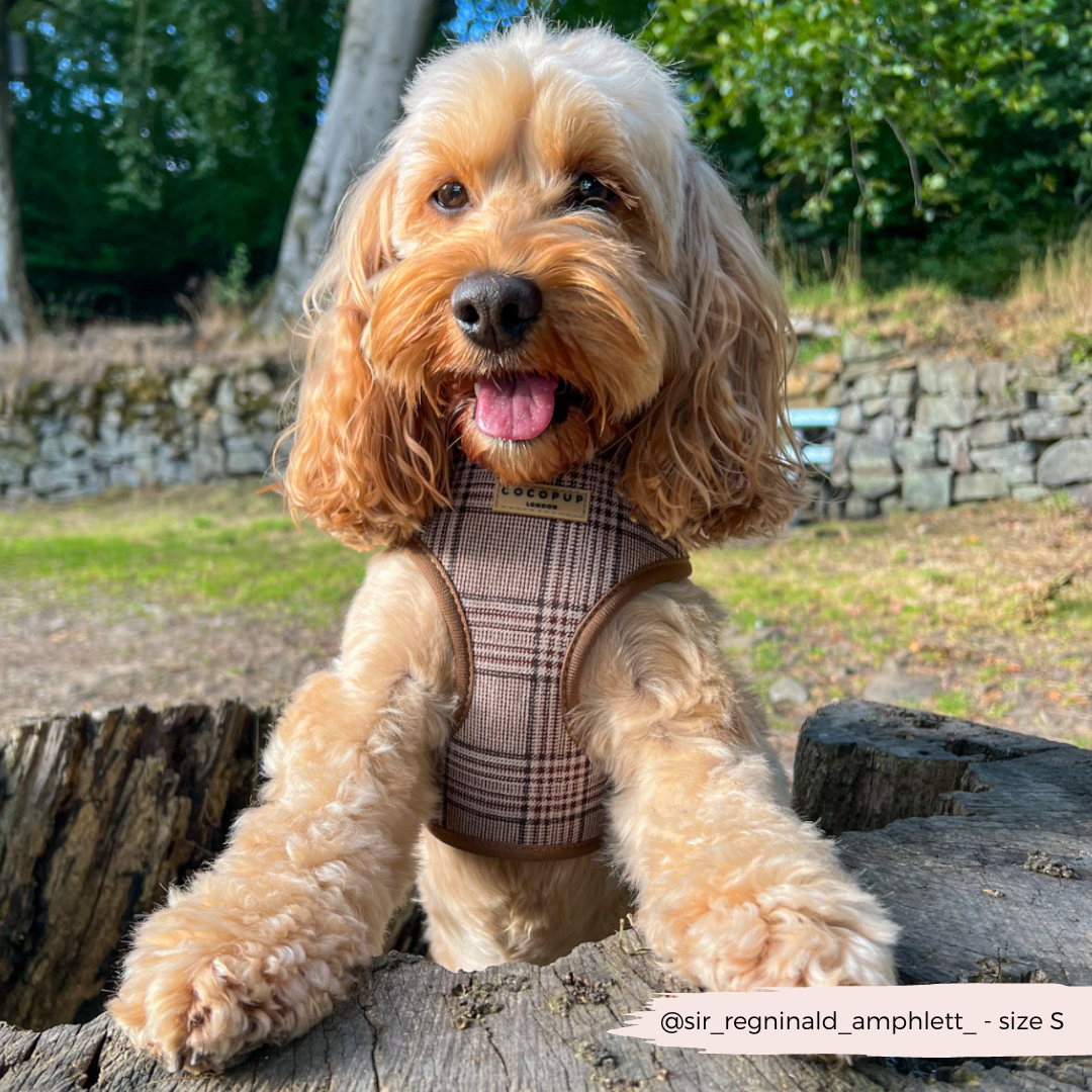 Cocopup London - Pup Plaid Adjustable Neck Harness