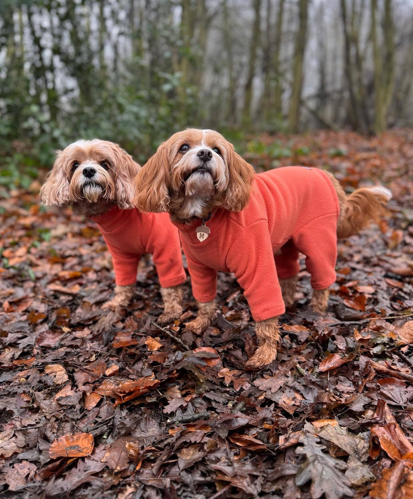 Pet Wiz - Four Legged Dog Fleeces - Wide Range of Sizes & Colours