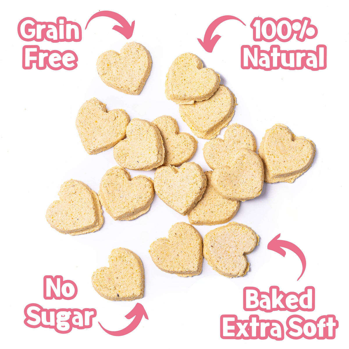PARK LiFE - Cake-Bix Dog Biscuits Birthday Cake Flavour 100g