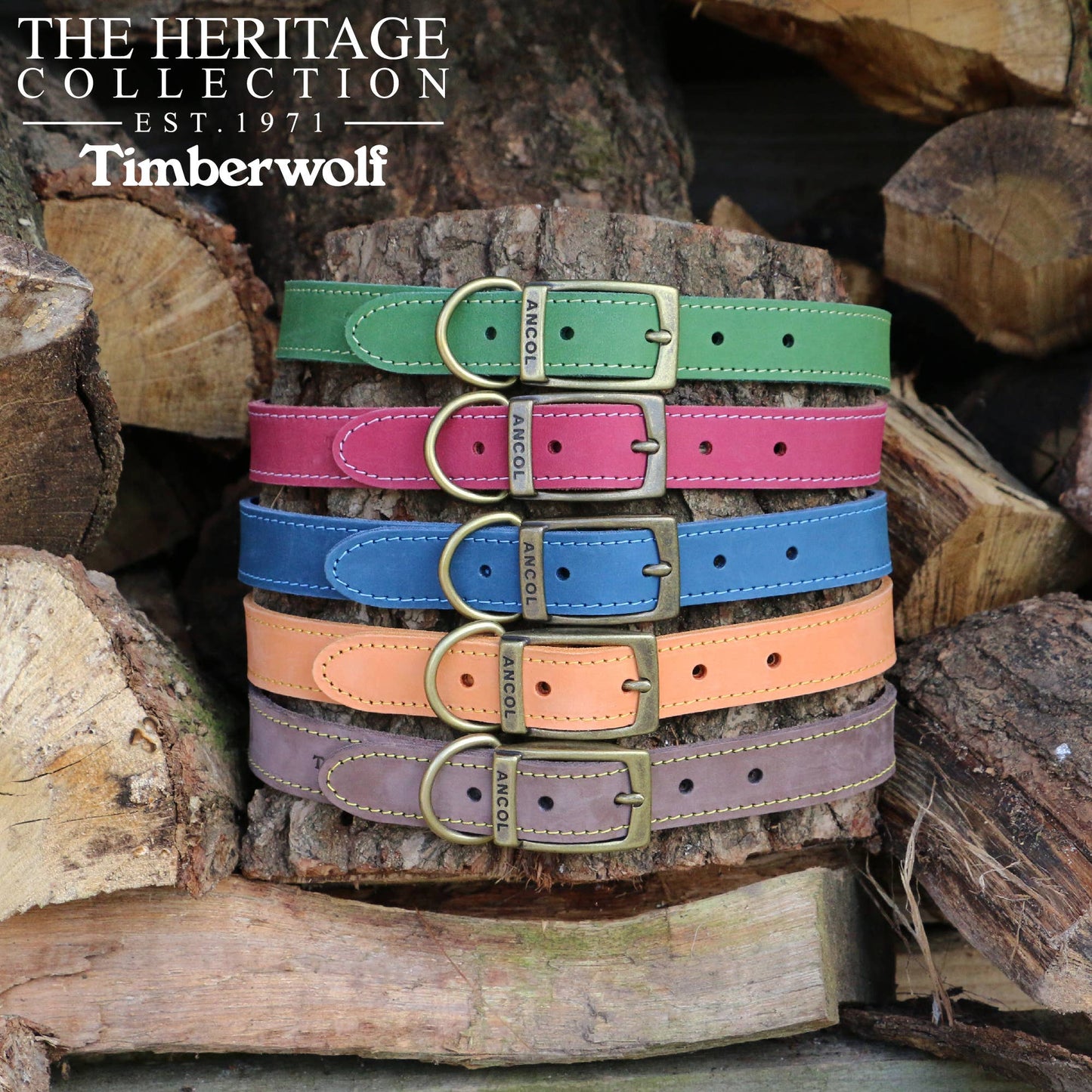 Ancol Pet Products Ltd - Timberwolf Leather Collar Green