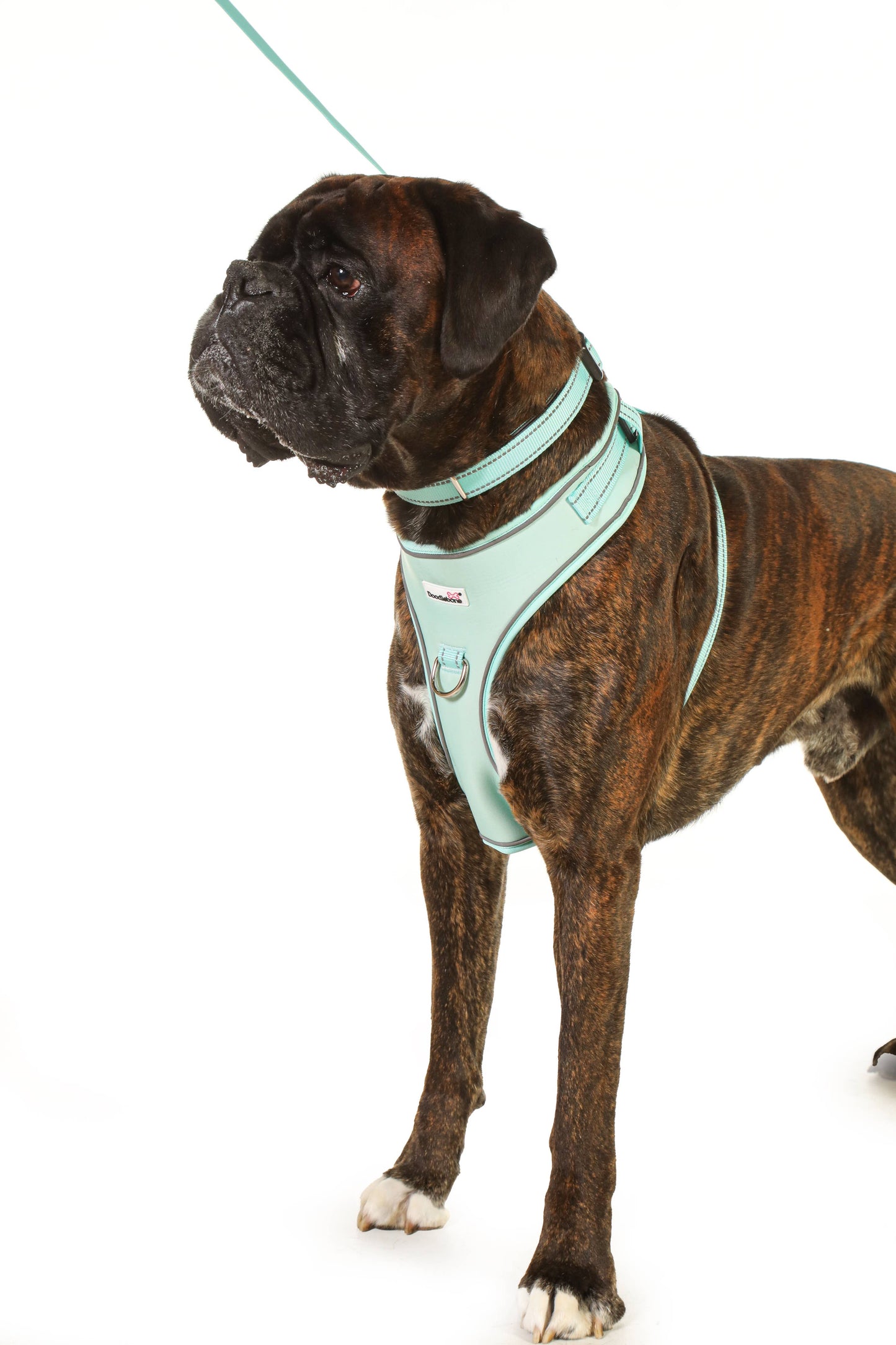 Doodlebone - Adjustable Airmesh Dog Harness