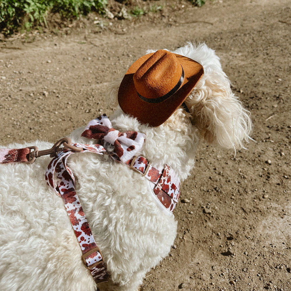 Cocopup London - Rodeo Pup Dog Hat