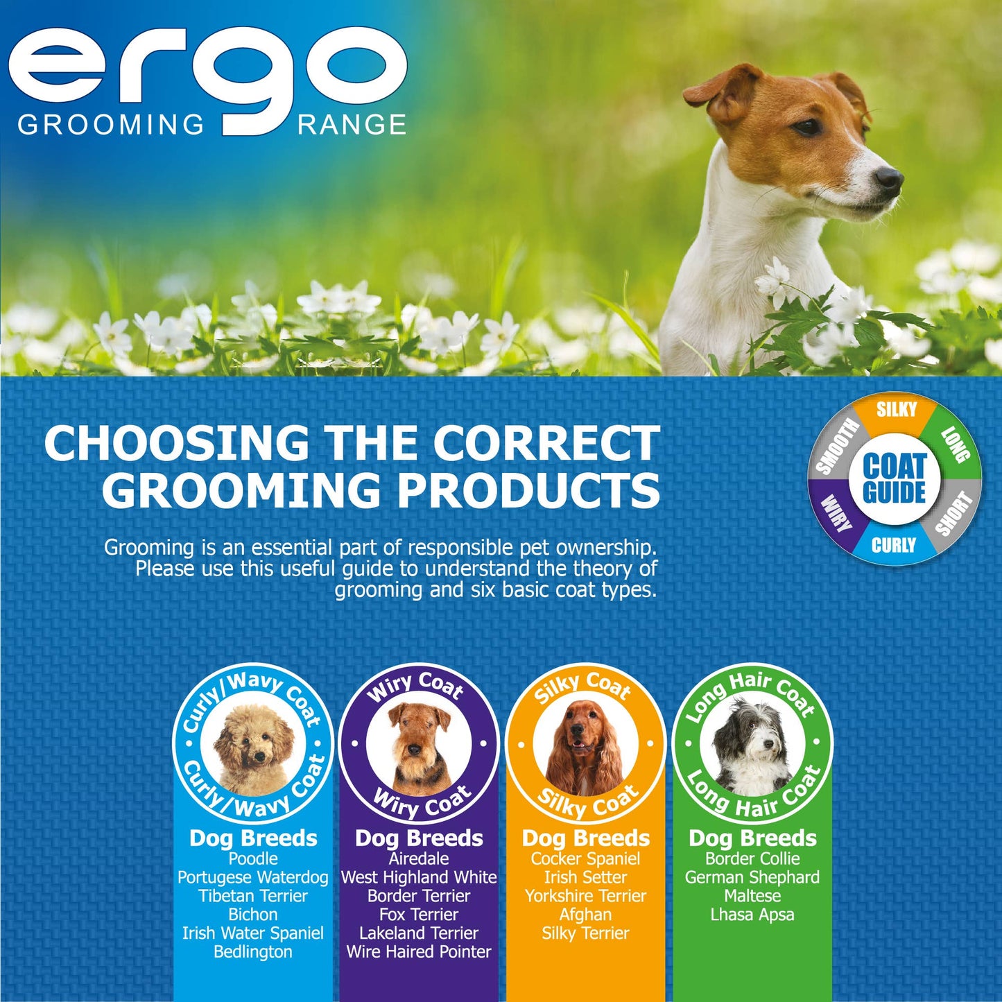 Ancol Pet Products Ltd - Ancol Ergo Double Sided Brush