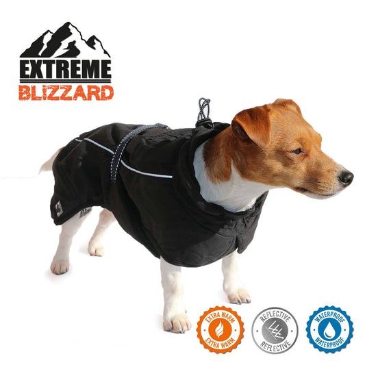 Ancol Pet Products Ltd - Extreme Blizzard Dog Coat : BLACK