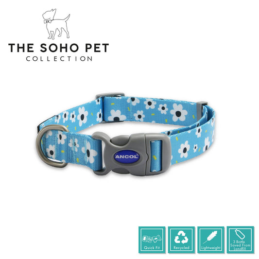 Ancol Pet Products Ltd - Soho Pet Collection Daisy Patterned Collar 45-70cm