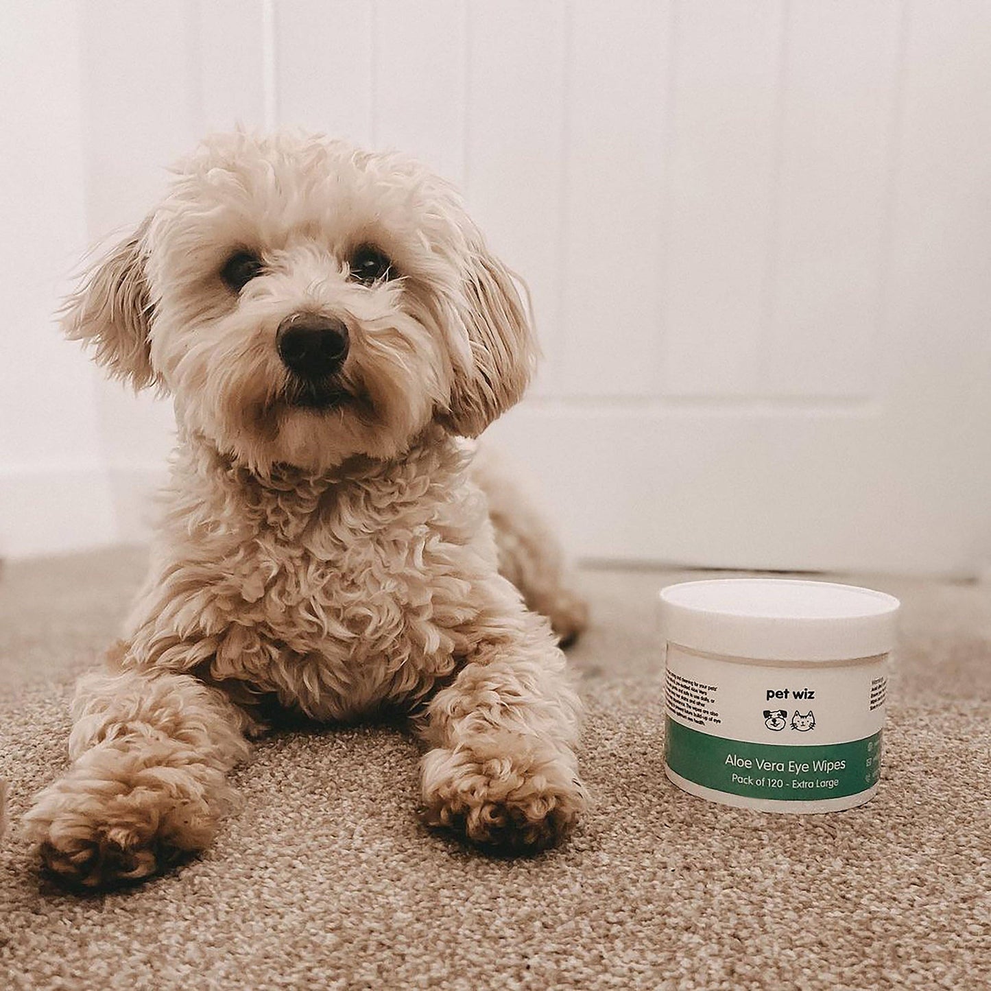 Pet Wiz - Aloe Vera Eye Wipes