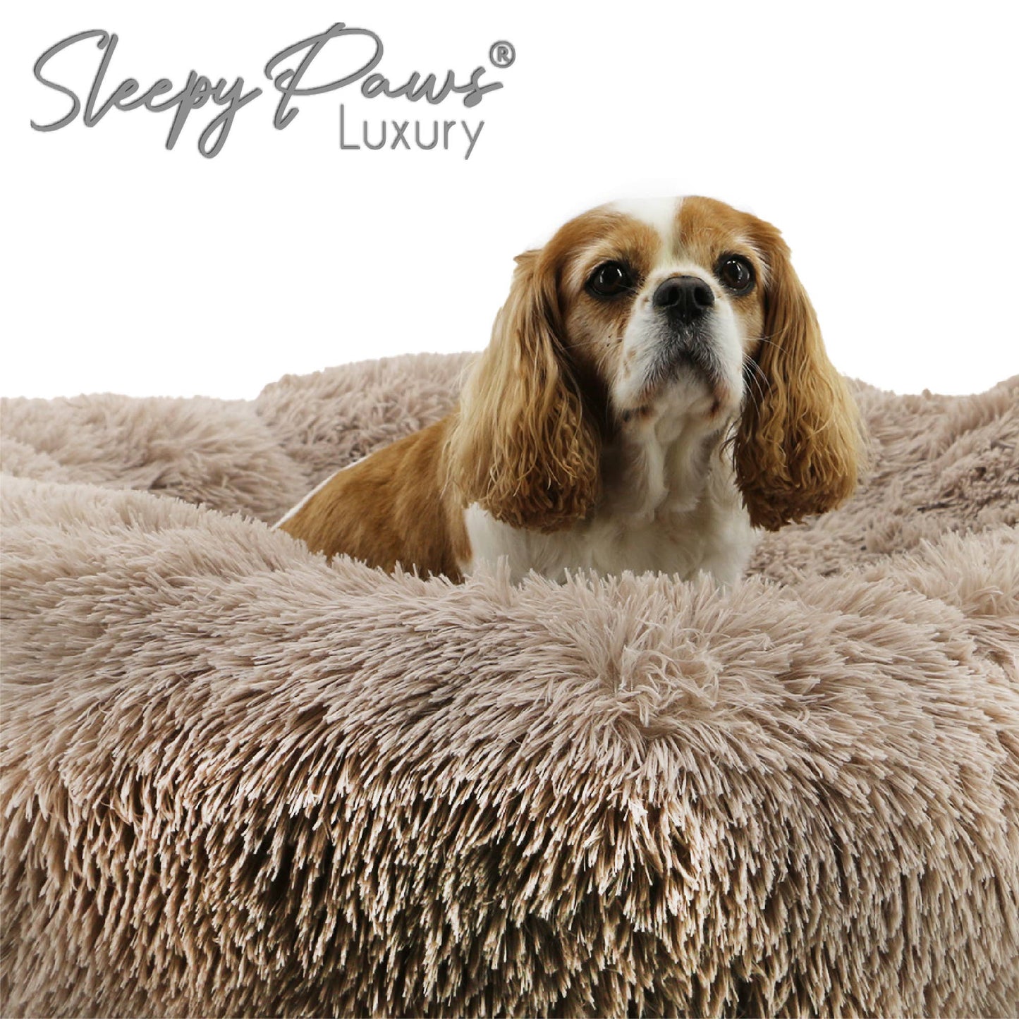 Ancol Pet Products Ltd - Super Soft Plush Donut Dog Bed Oatmeal