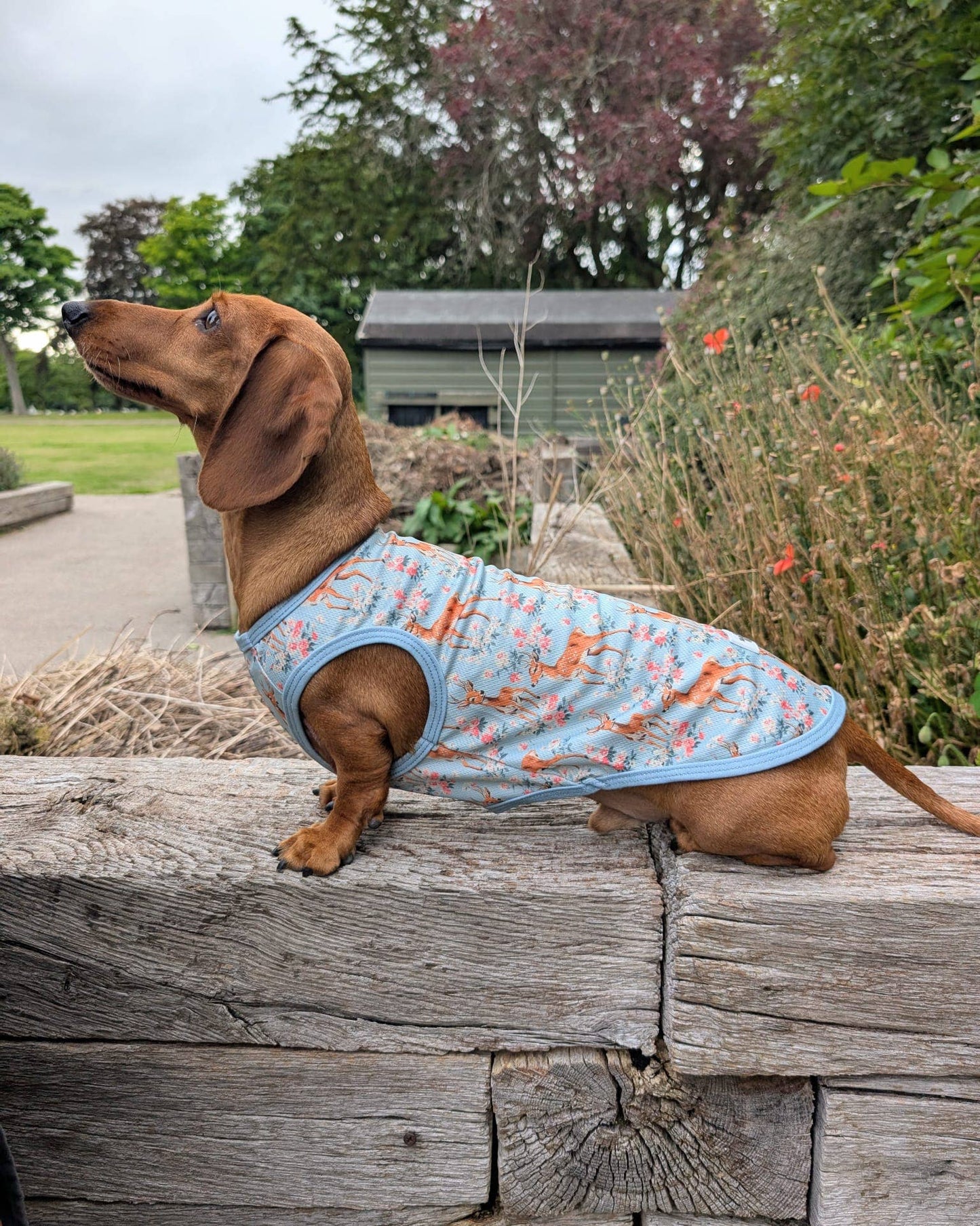 The Paw Print Boutique - Bambi in Bloom Cooling Vest