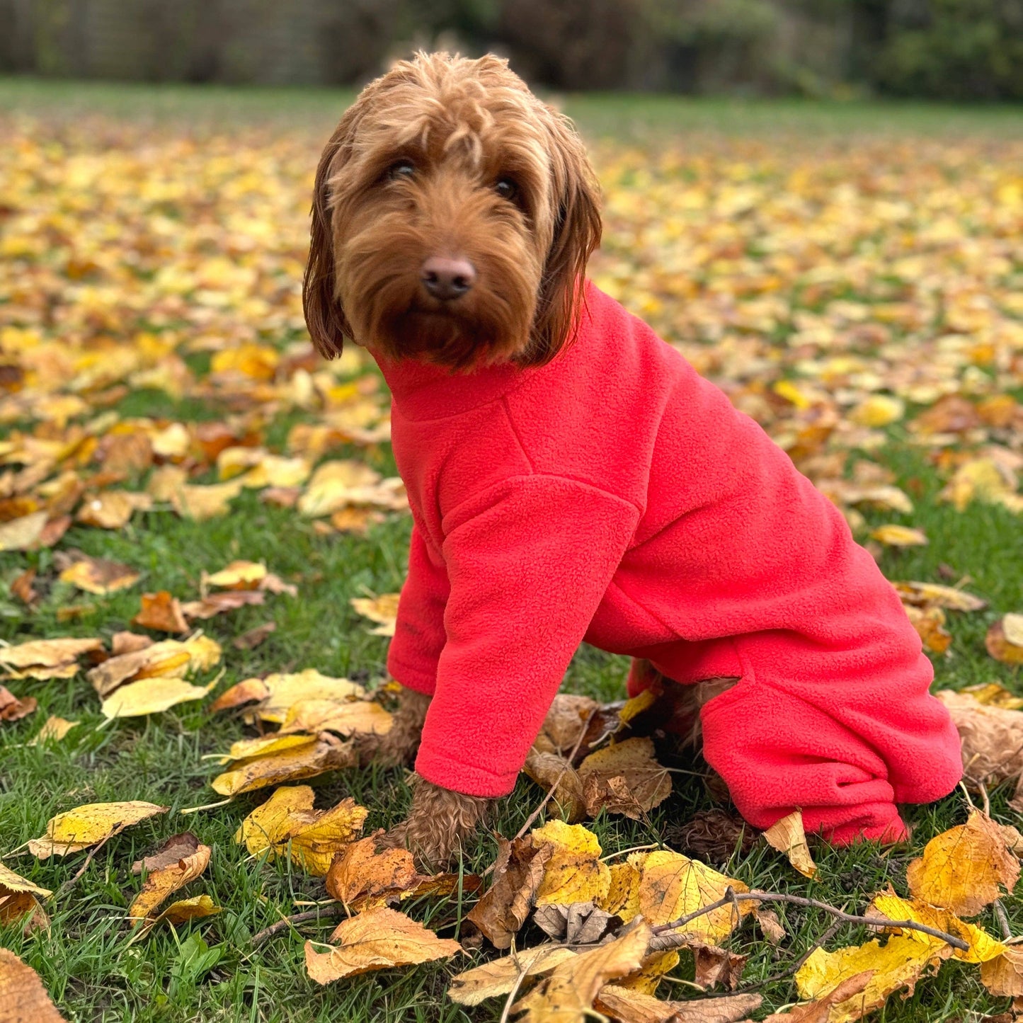 Pet Wiz - Four Legged Dog Fleeces - Wide Range of Sizes & Colours