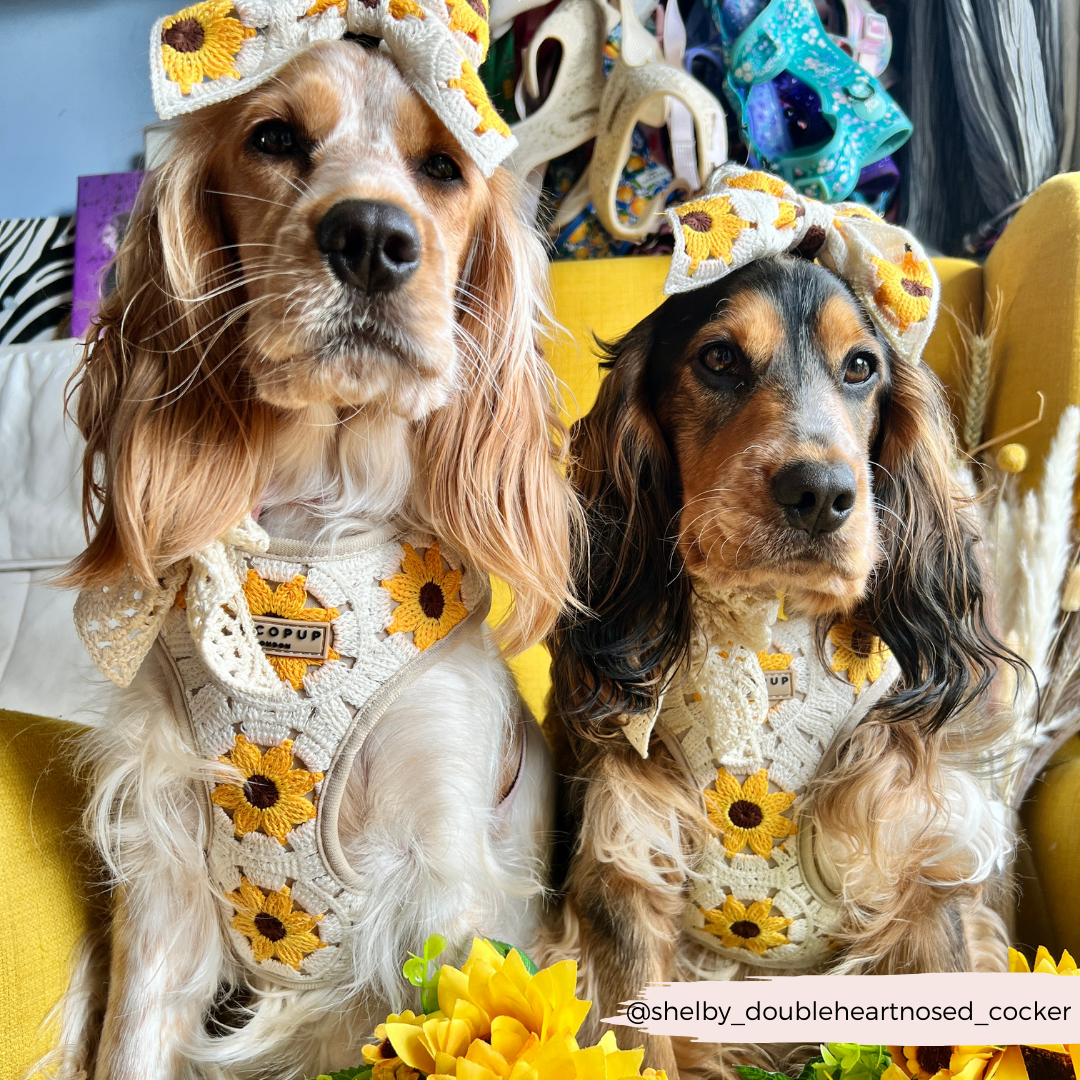 Cocopup London - Sunflower Patch Adjustable Neck Harness