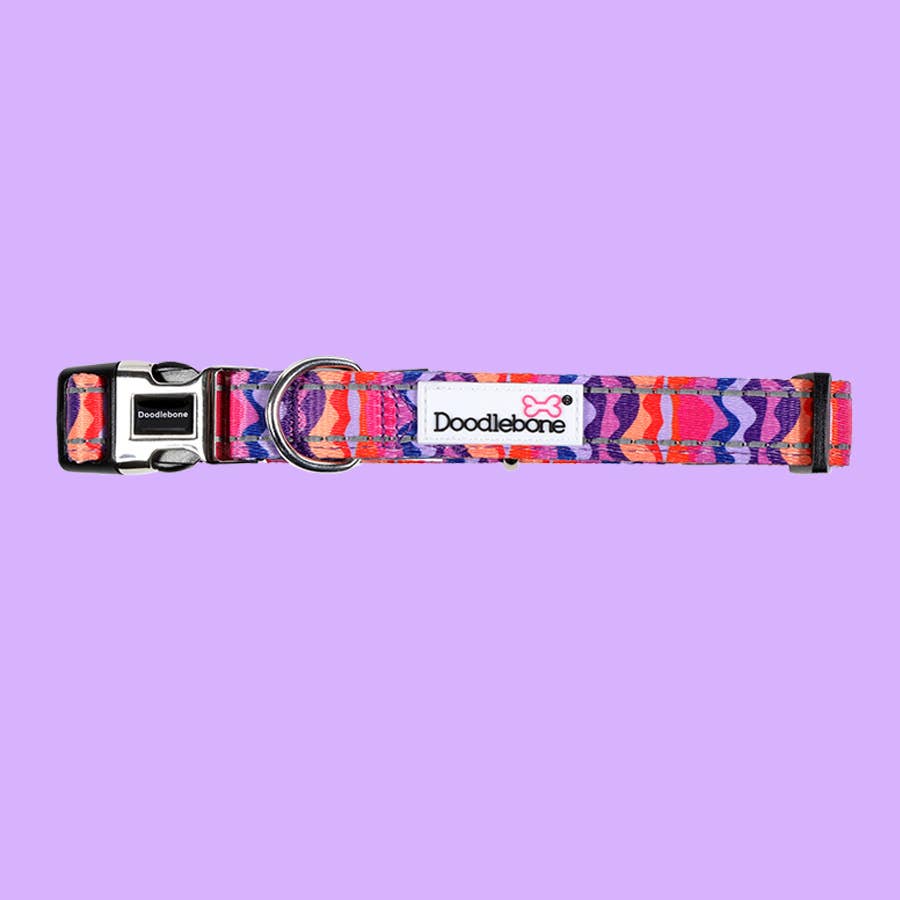 Doodlebone - Padded Dog Collar