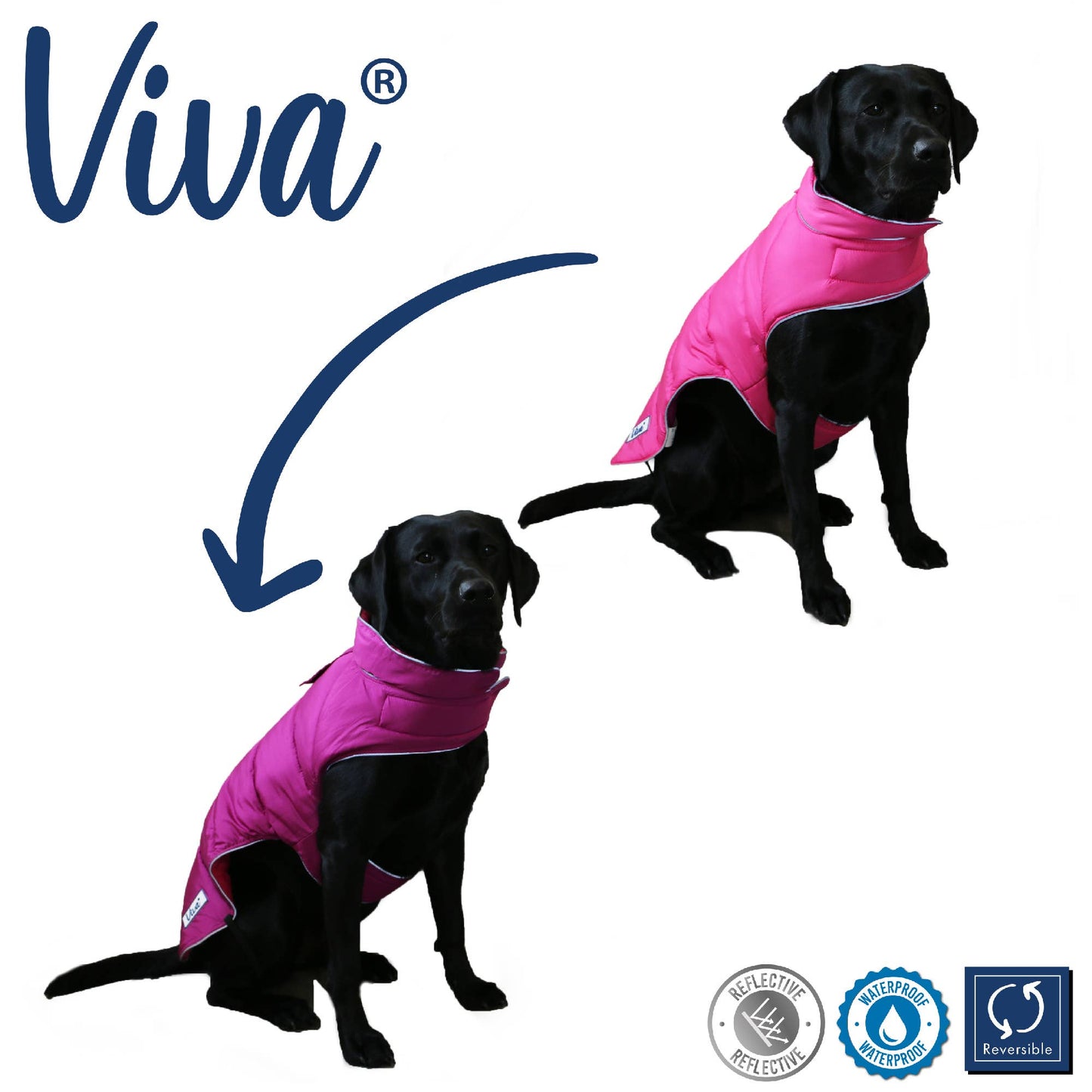 Ancol Pet Products Ltd - Viva Reversible Dog Coat Pink/Purple