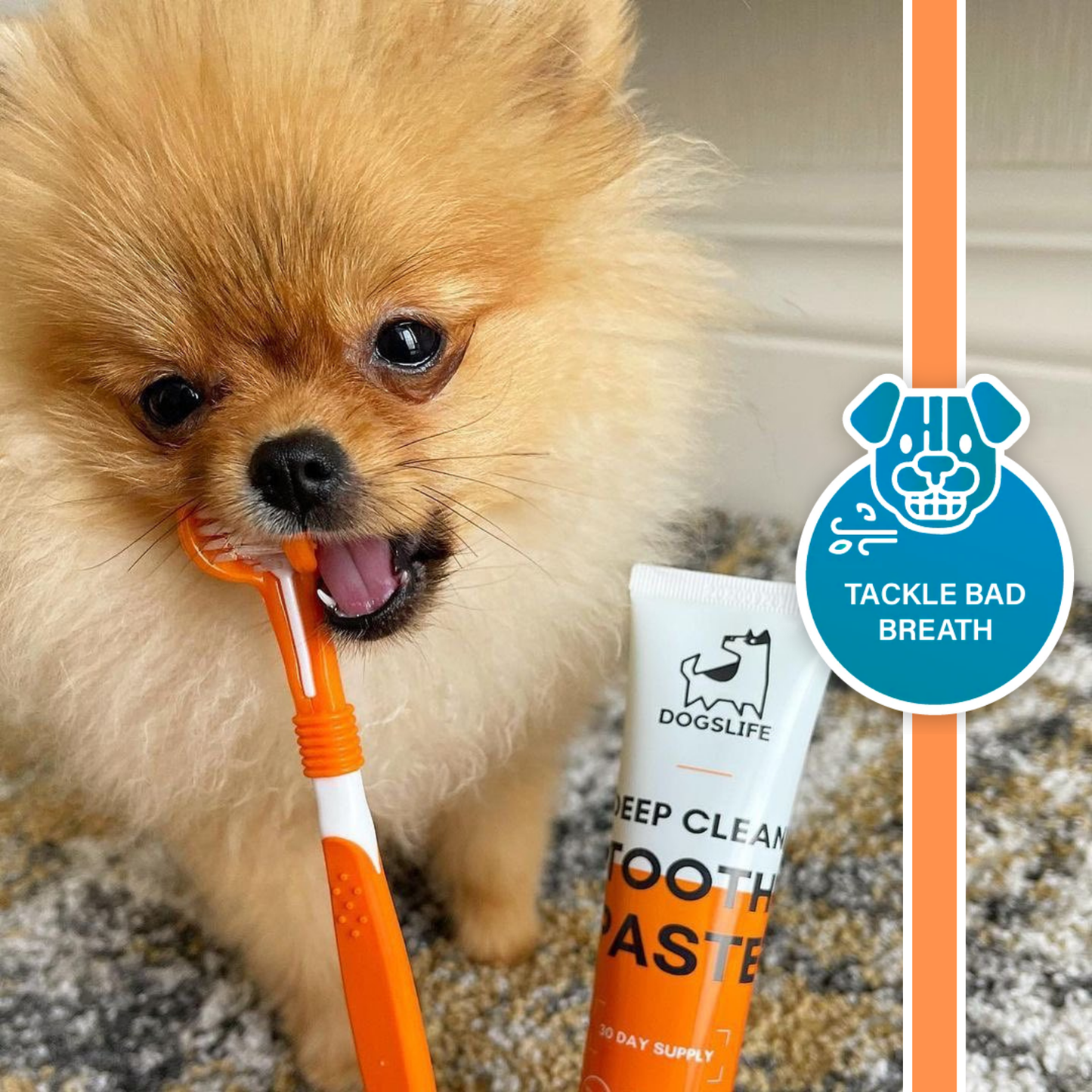 OurPetsLife - Dog Toothpaste and Toothbrush Set