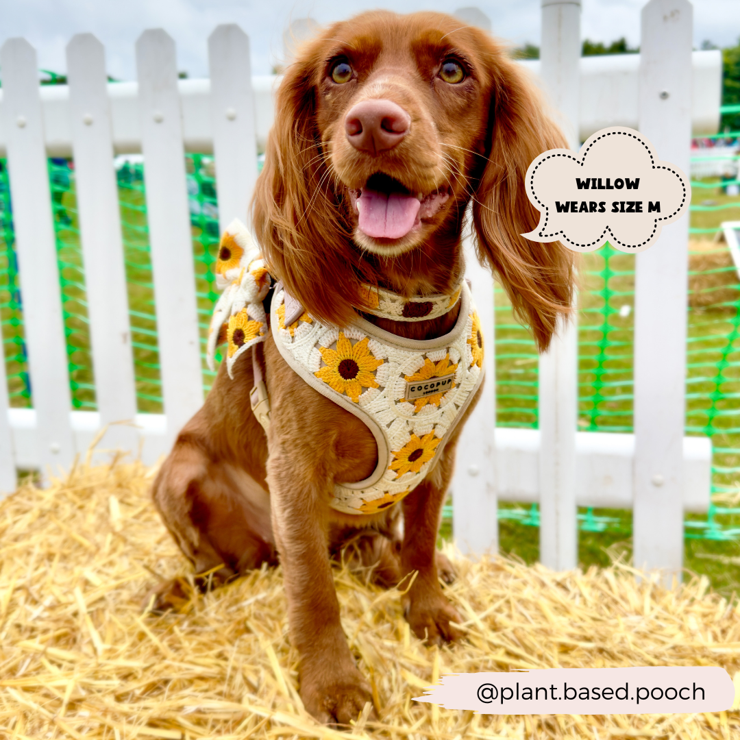 Cocopup London - Sunflower Patch Adjustable Neck Harness