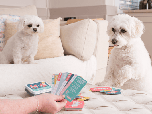 10 Tricks & Trivia Card Games in Display Unit | Dog Gifts