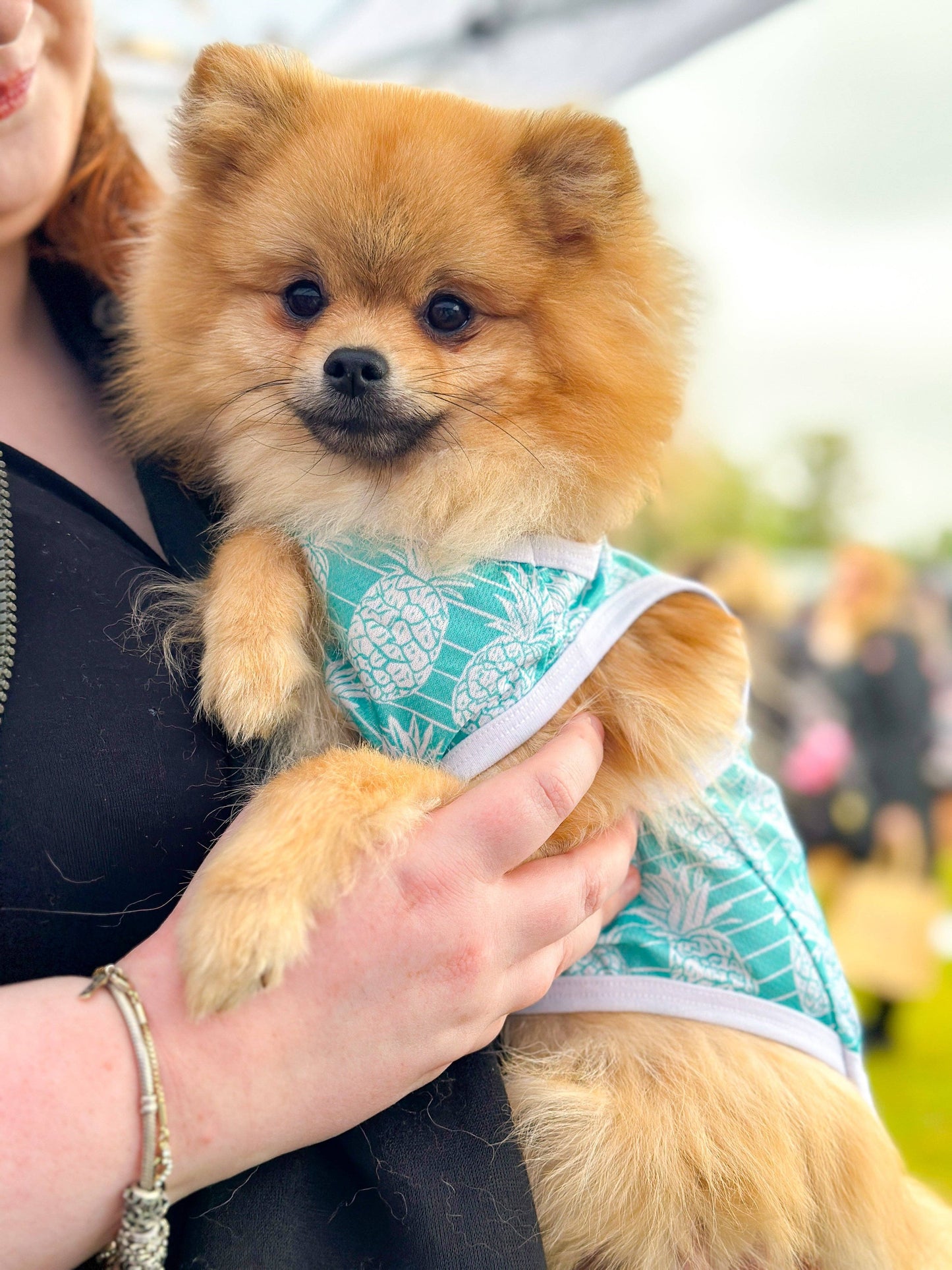 The Paw Print Boutique - The Pineapple Pawty Cooling Vest