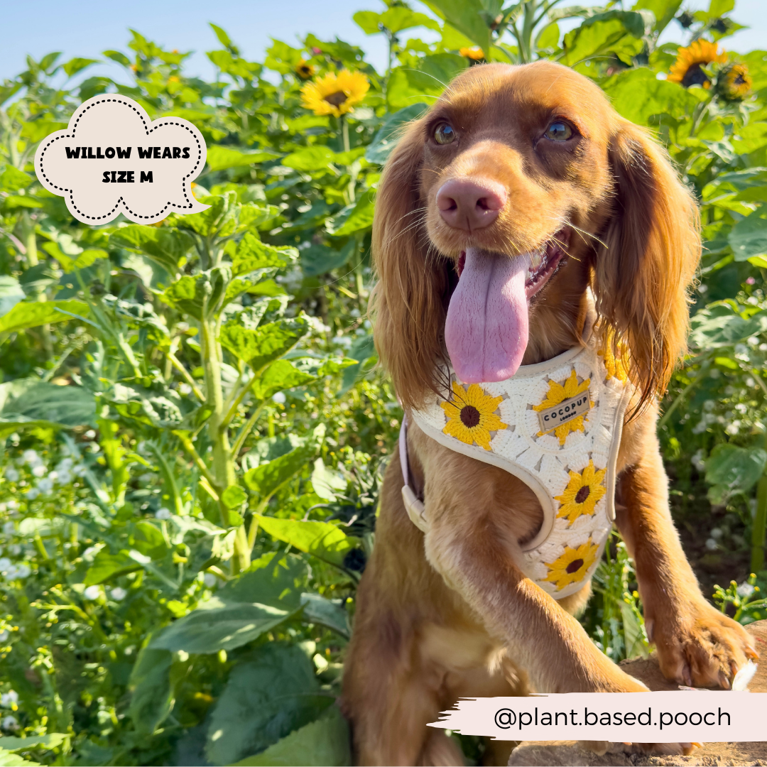 Cocopup London - Sunflower Patch Adjustable Neck Harness