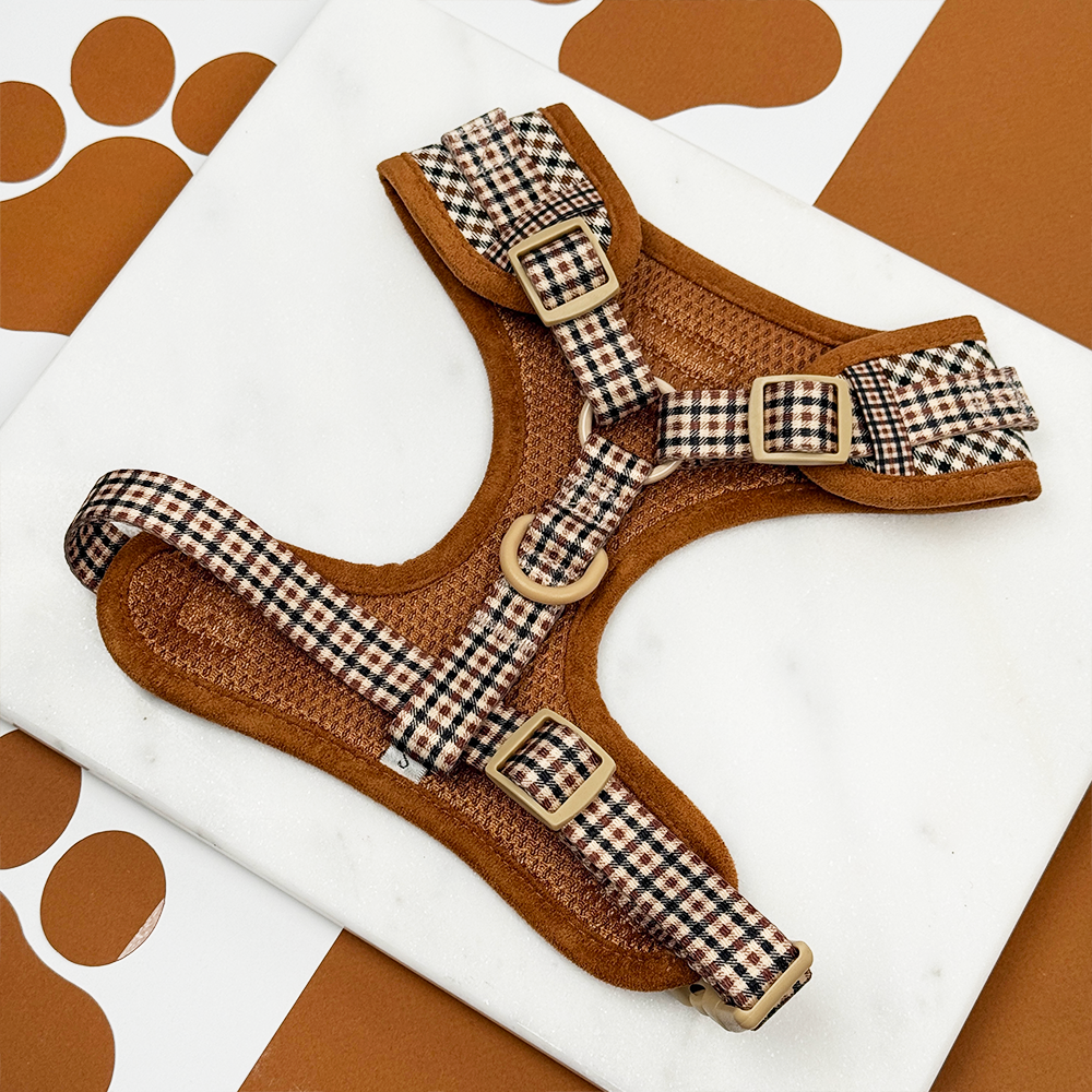 Cocopup London - Heritage Check Adjustable Neck HARNESS