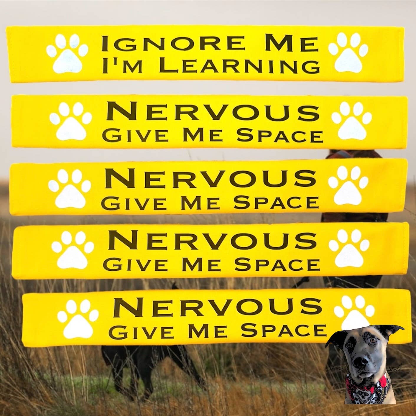 Storms Style - Lead Slips - Reactive, Nervous, Blind, Deaf, Friendly