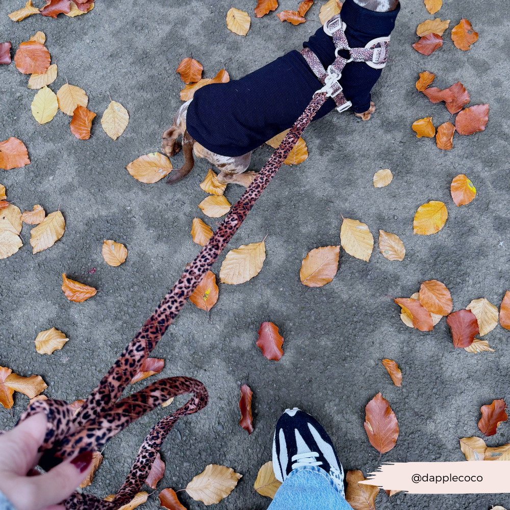 Cocopup London - Quilted Leopard Pup Lead