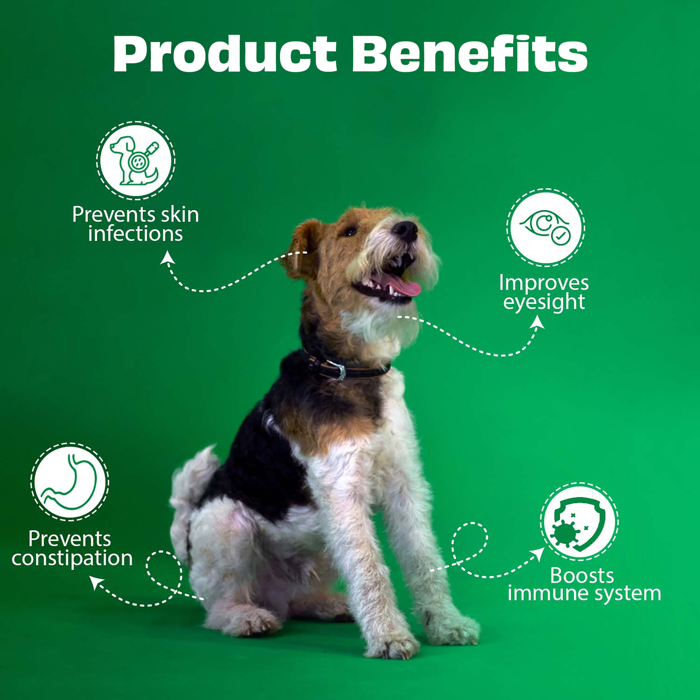 Pawfect Foods -Mango Treats for Dogs