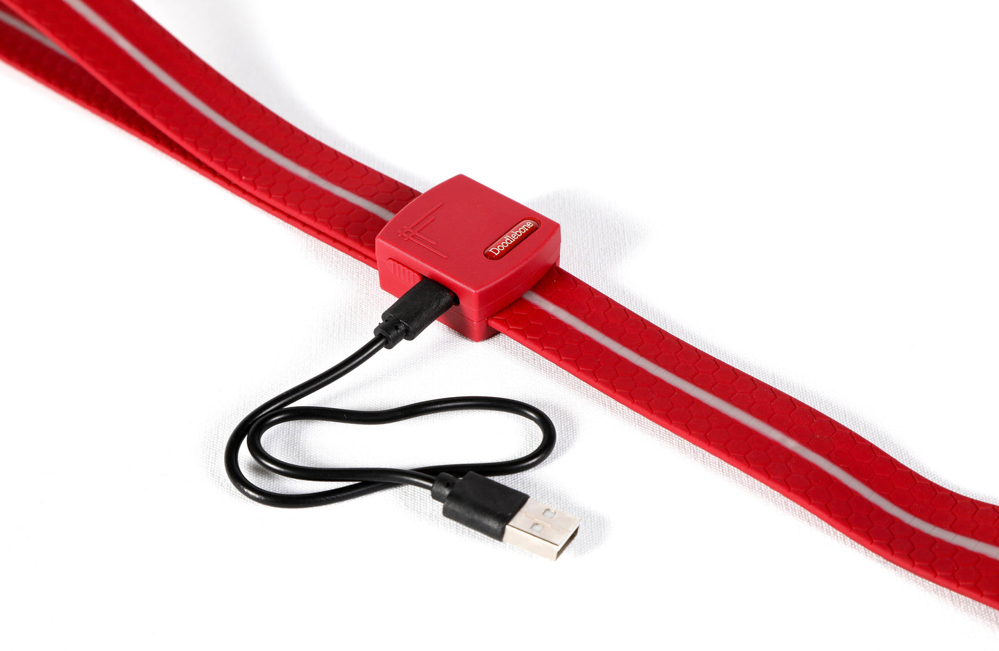 Light Up Dog Lead