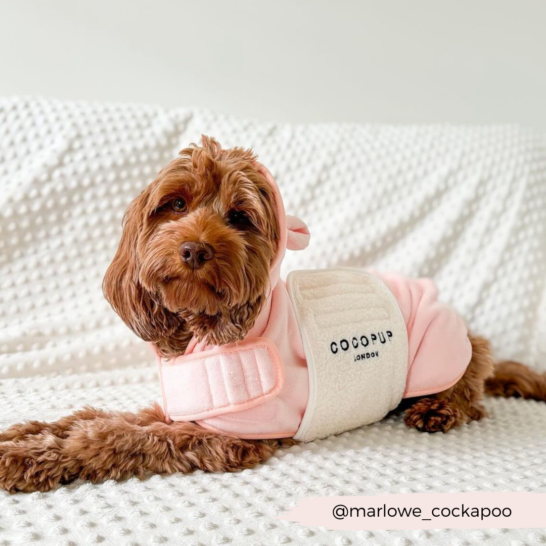 Cocopup London - Pupicorn Drying Robe