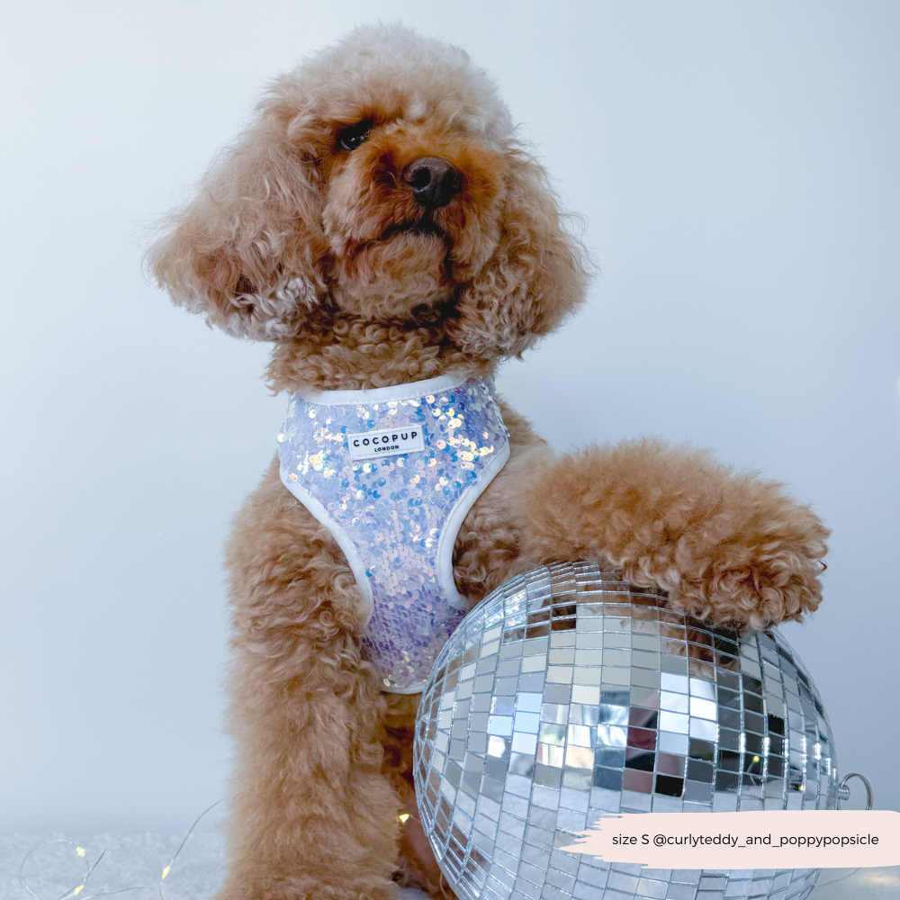 Cocopup London - LUXE Party Holographic Sequin HARNESS