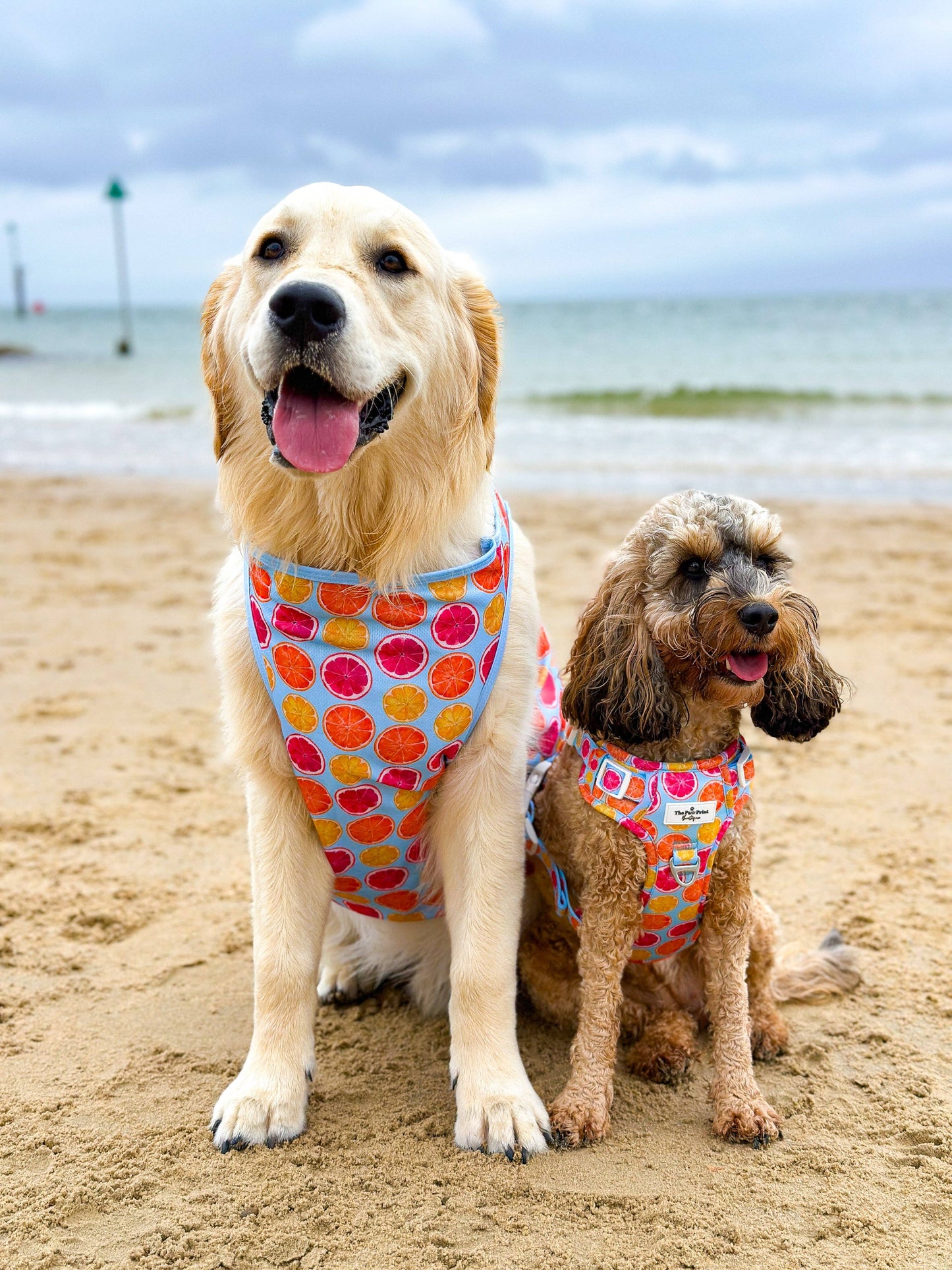 The Paw Print Boutique - Squeeze the Day Cooling Vest