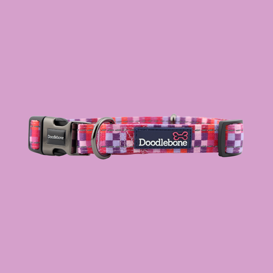 Doodlebone - Padded Dog Collar