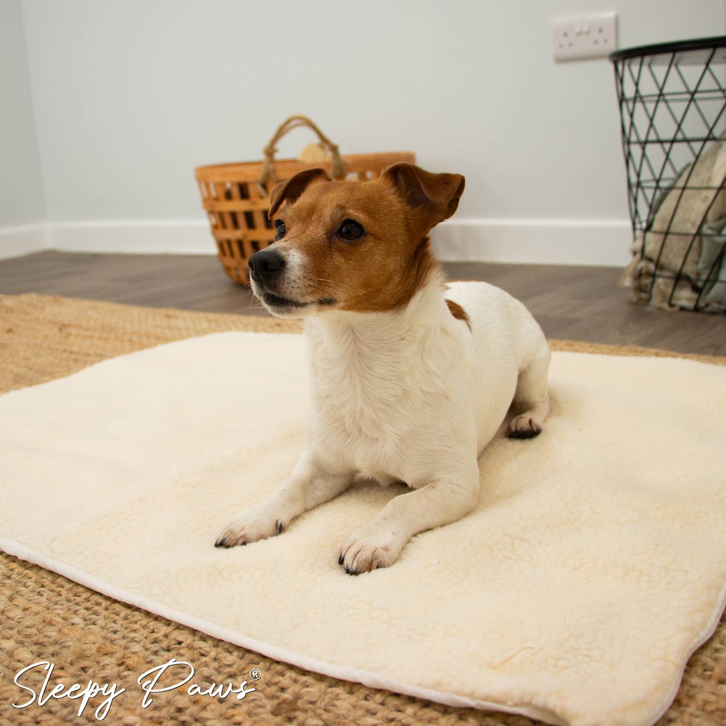Ancol Pet Products Ltd - Self Heating Pad for pets S/ M/ L