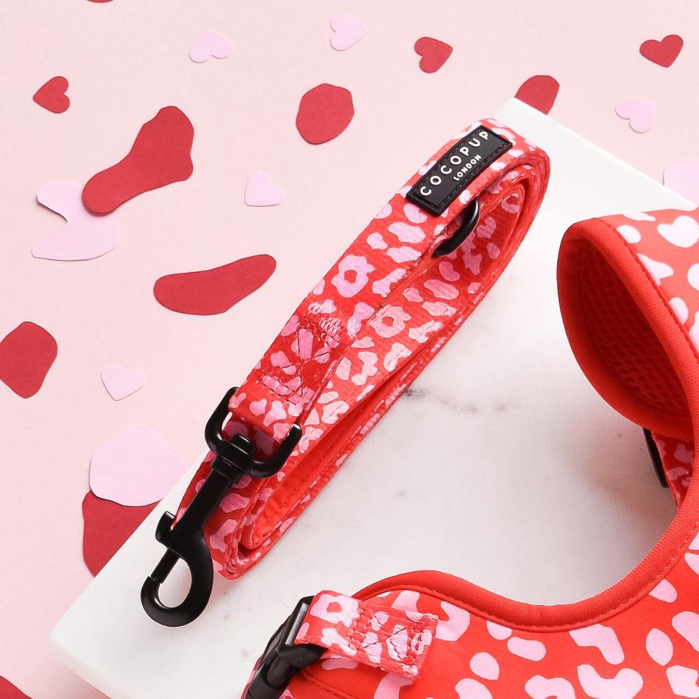Cocopup London - Red & Pink Leopard Lead