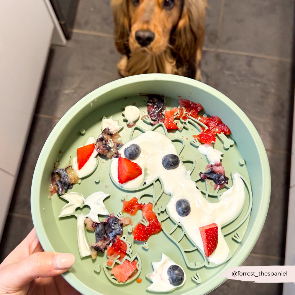 Cocopup London - Silicone Slow Feed Dog Bowl - Dinopaws