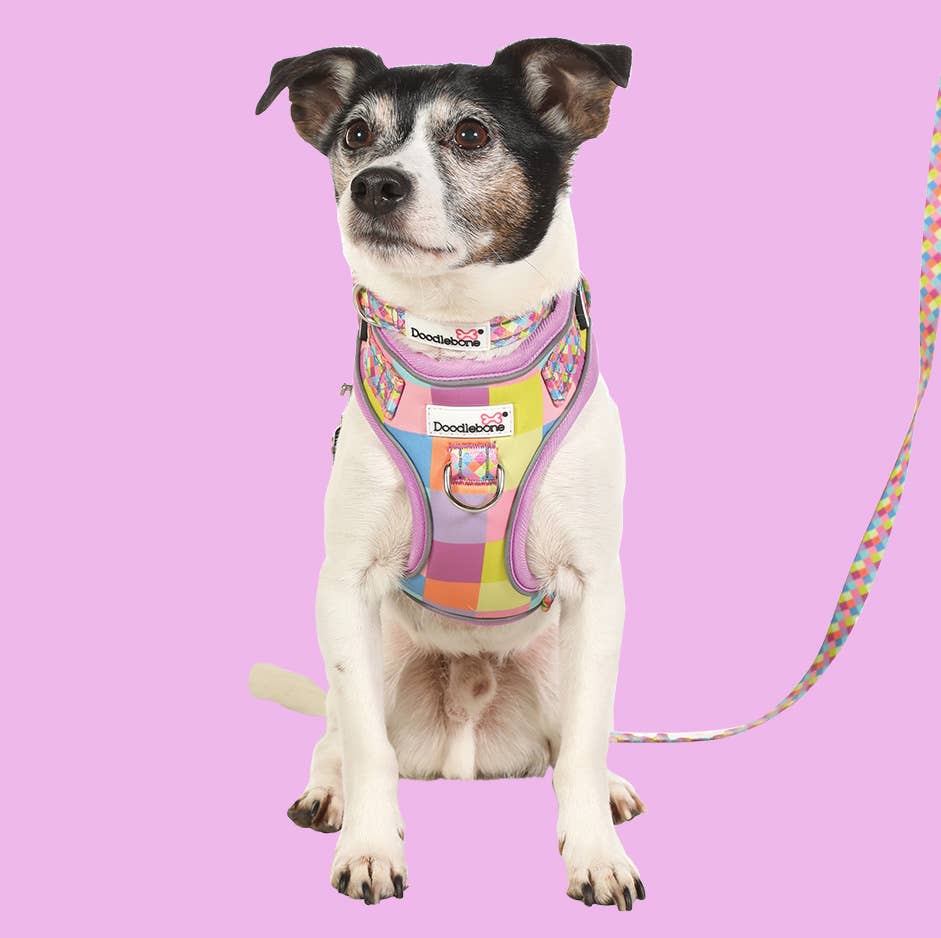 Doodlebone - Adjustable Airmesh Dog Harness
