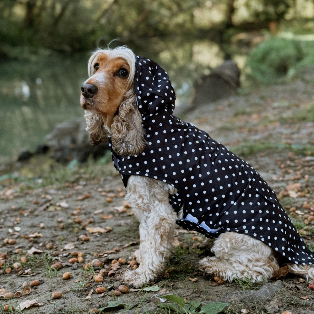 Cocopup London - Dog Raincoat - Black Polka Dot