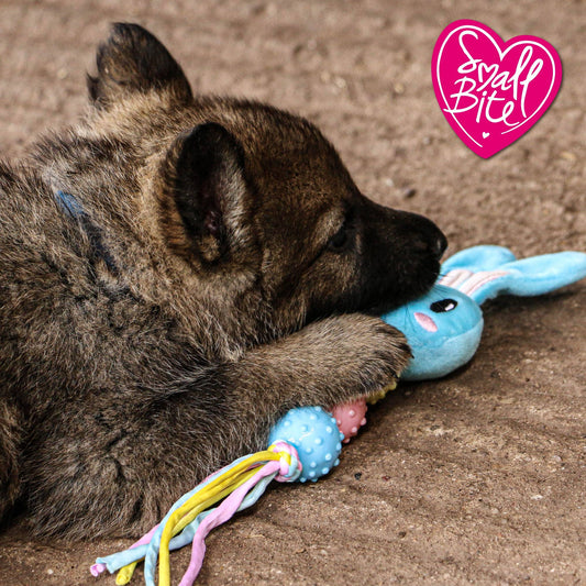 Ancol Pet Products Ltd - Small Bite Puppy Teether Bear/Bunny/Heart