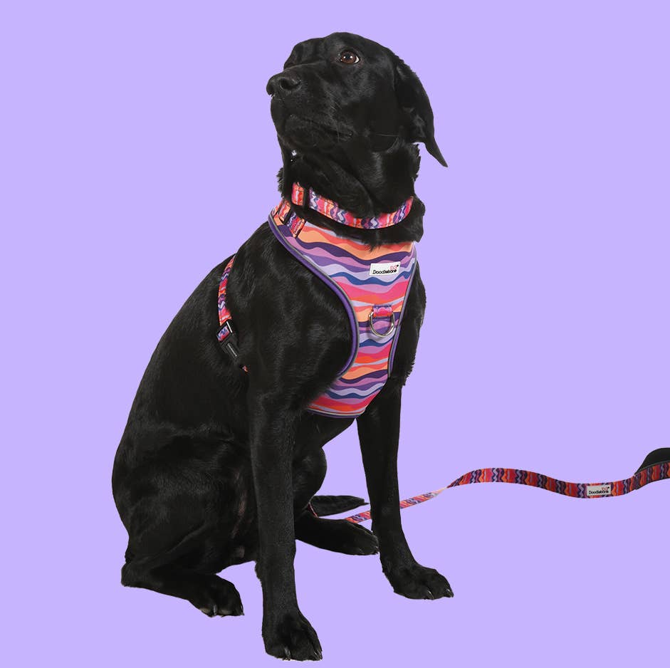 Doodlebone - Adjustable Airmesh Dog Harness