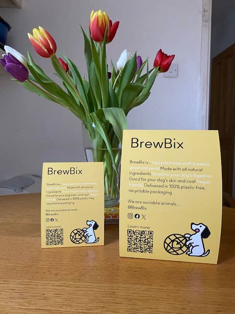 BrewBix Dog Treats (Large)