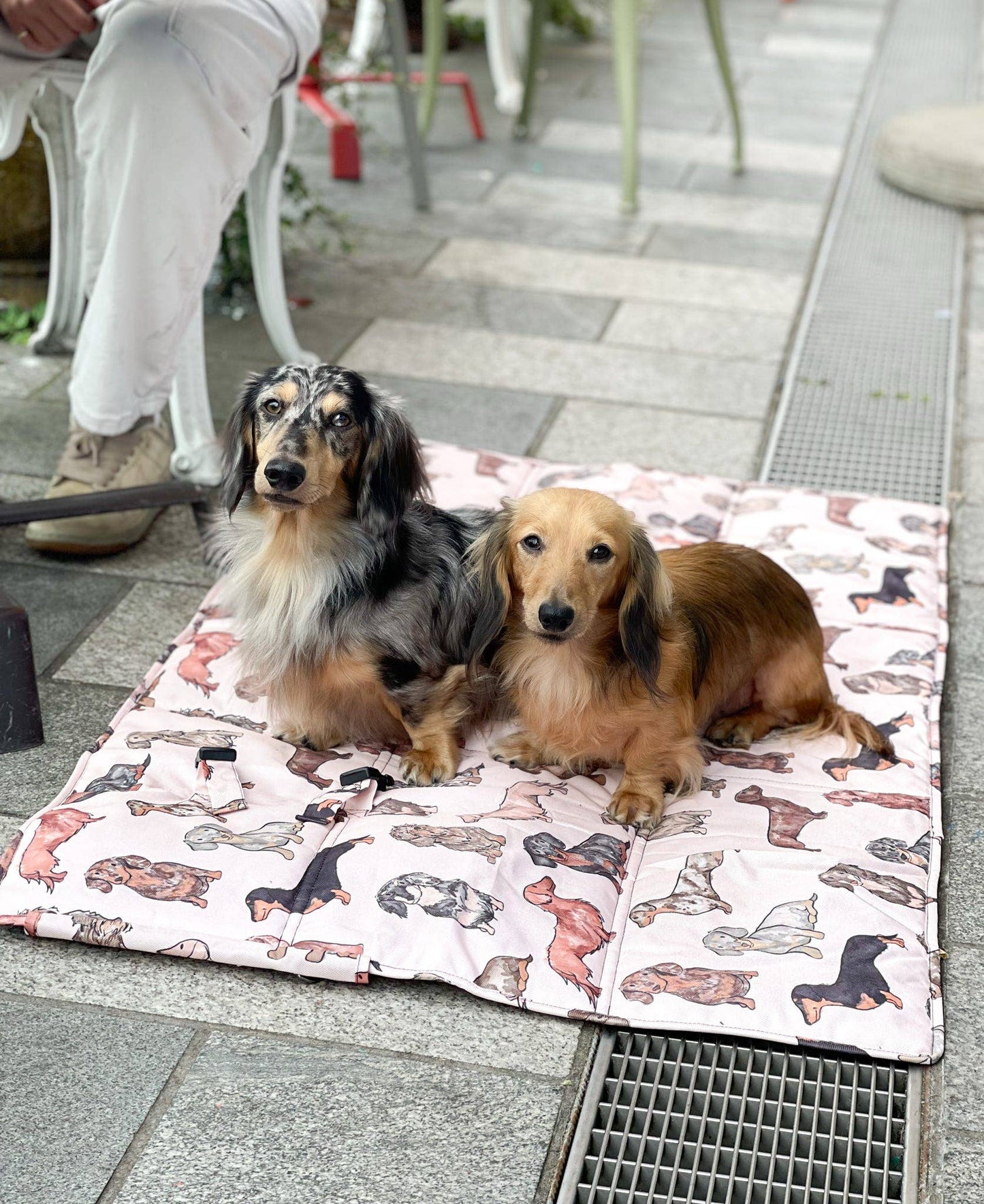 The Paw Print Boutique - The Dachshund Travel Mat