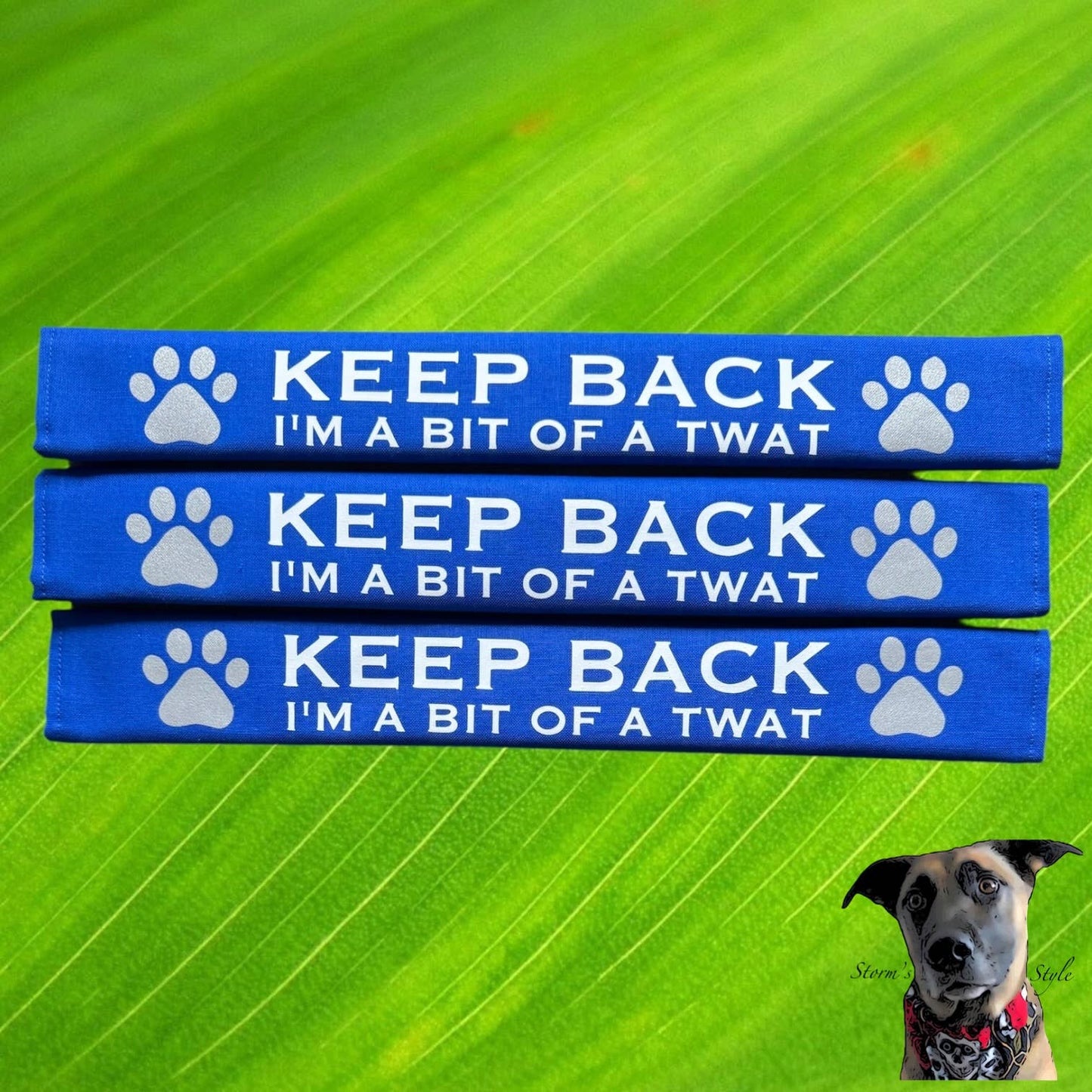 Storms Style - Lead Slips - Reactive, Nervous, Blind, Deaf, Friendly