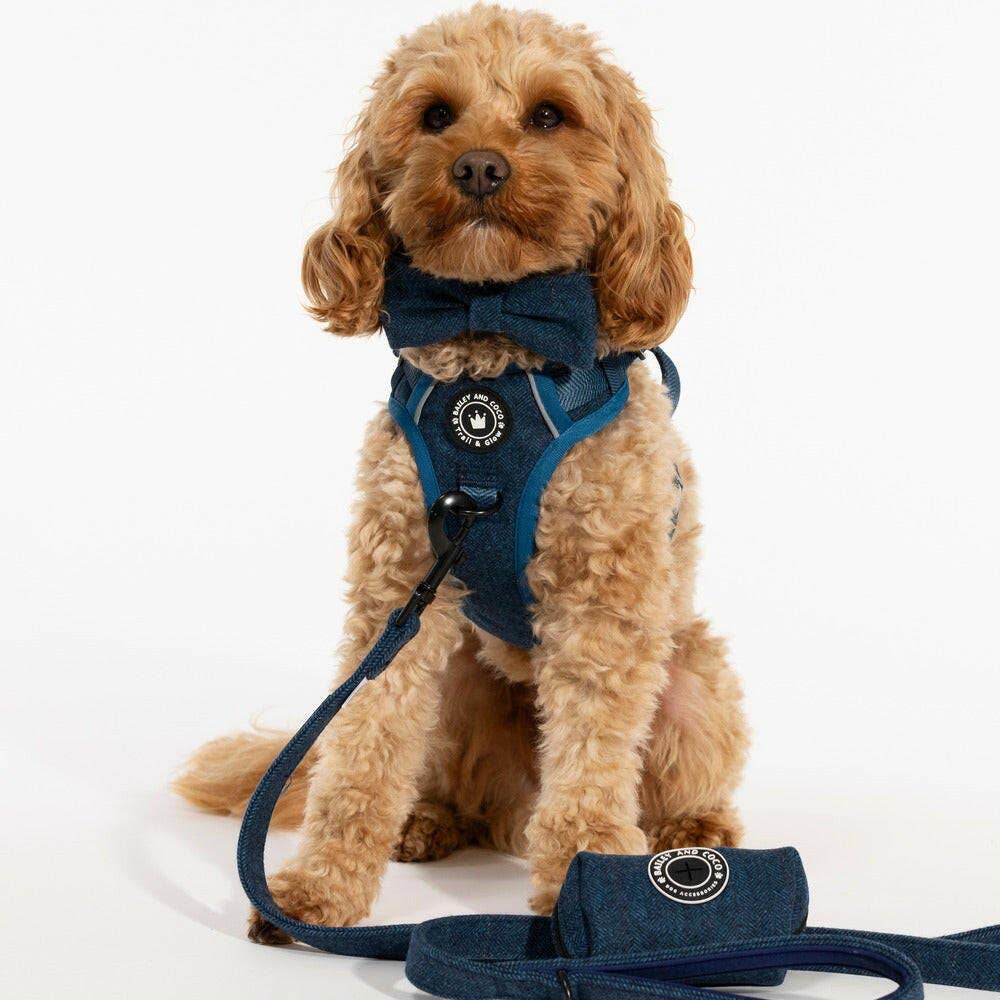 Bailey and Coco - Trail & Glow Tweed Dog Harness - Sapphire Tweed