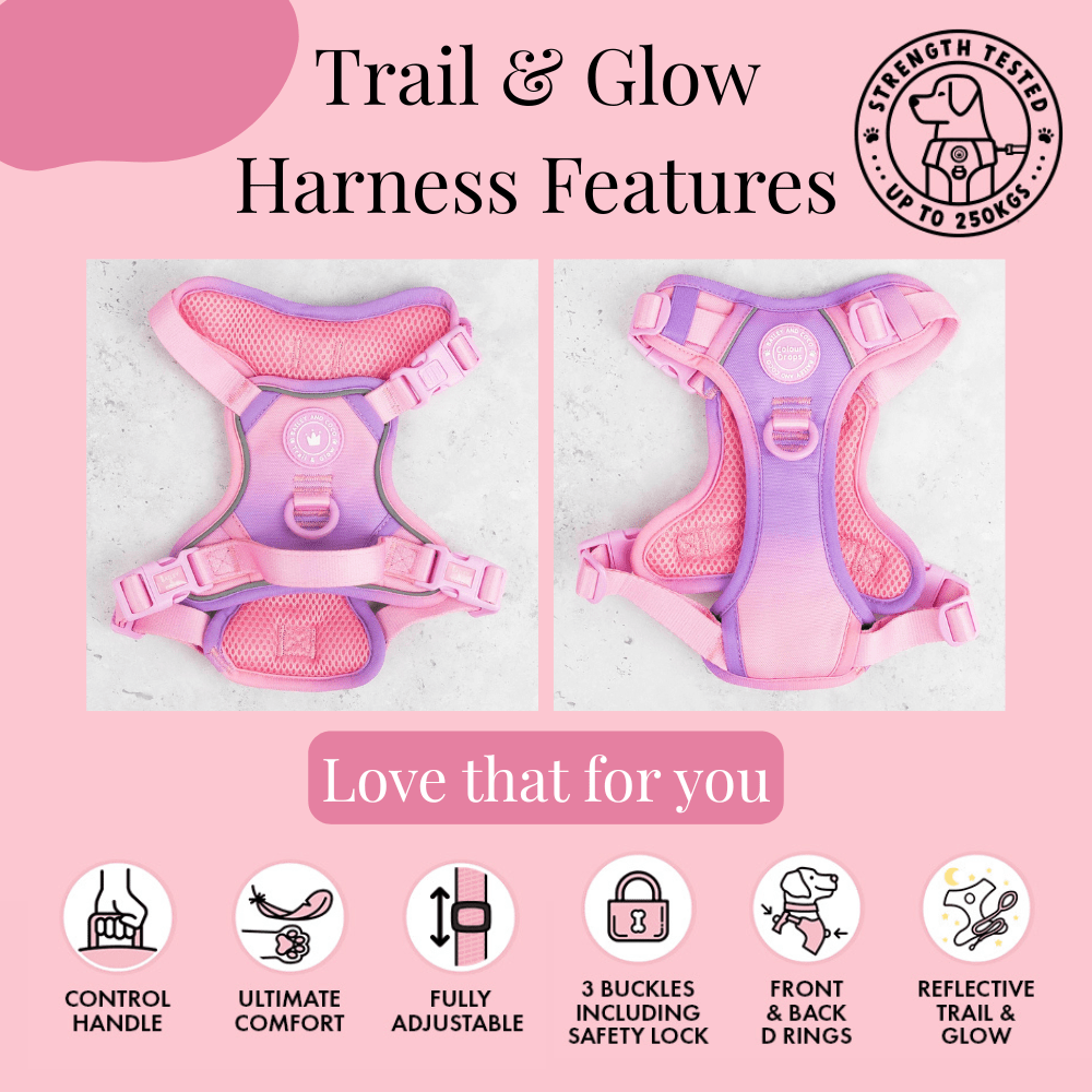 Bailey and Coco - Trail & Glow Dog Harness - COLOUR DROPS® - Love that for you