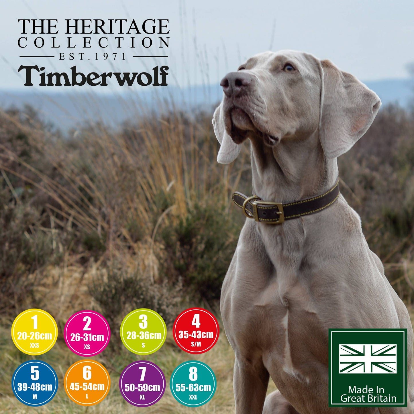 Ancol Pet Products Ltd - Timberwolf Leather Collar Blue