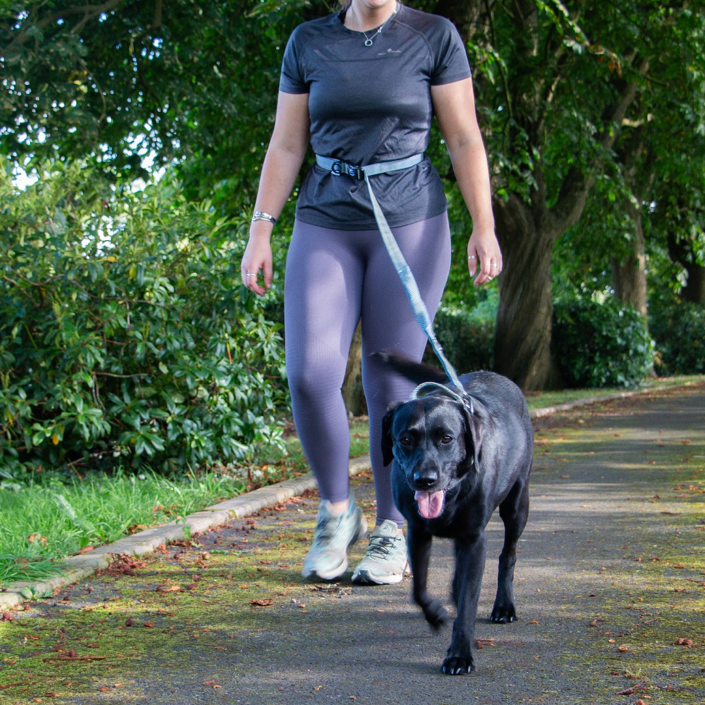 Ancol Pet Products Ltd - Extreme+ Running Lead 180cm